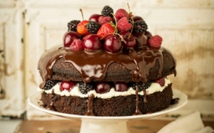 omg-chocolate-cake-1_2